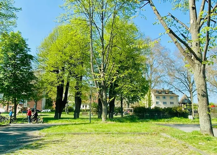 Kassel: Alles, Was Du Brauchst!