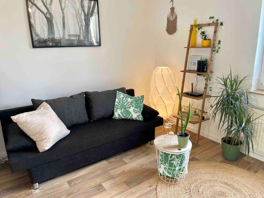 Kassel: Alles, Was Du Brauchst! Apartment Kassel