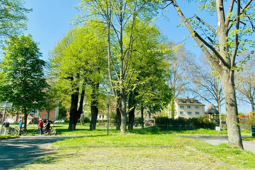 Kassel: Alles, Was Du Brauchst! *